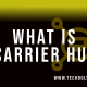 What is Carrier Hub How to Resolve Processing Requests Issues