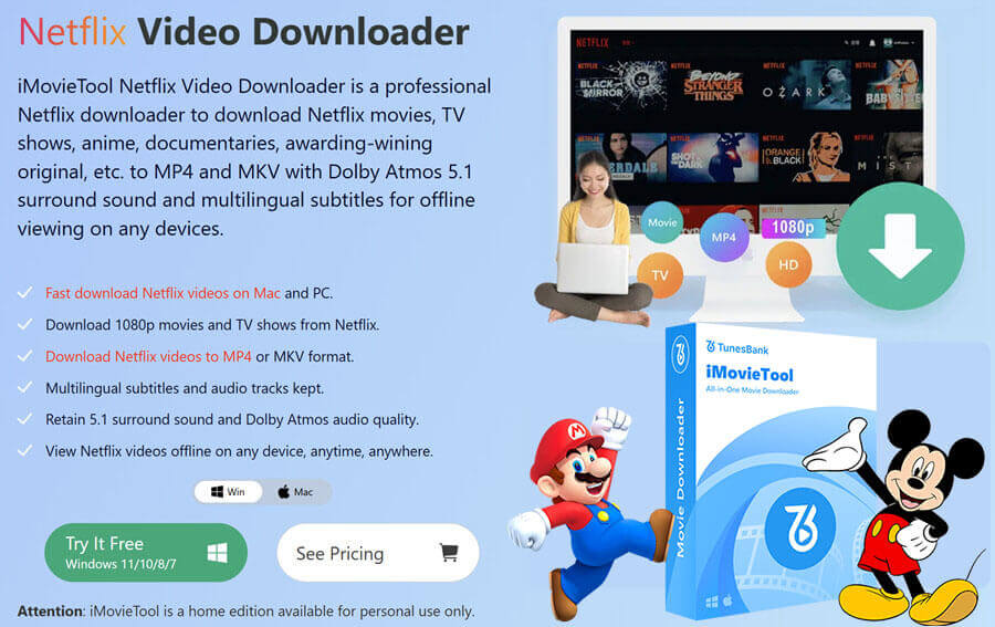 imovietool-netflix-video-downloader-page