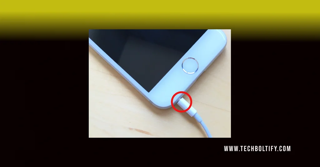 Fix using Plug-in & spin